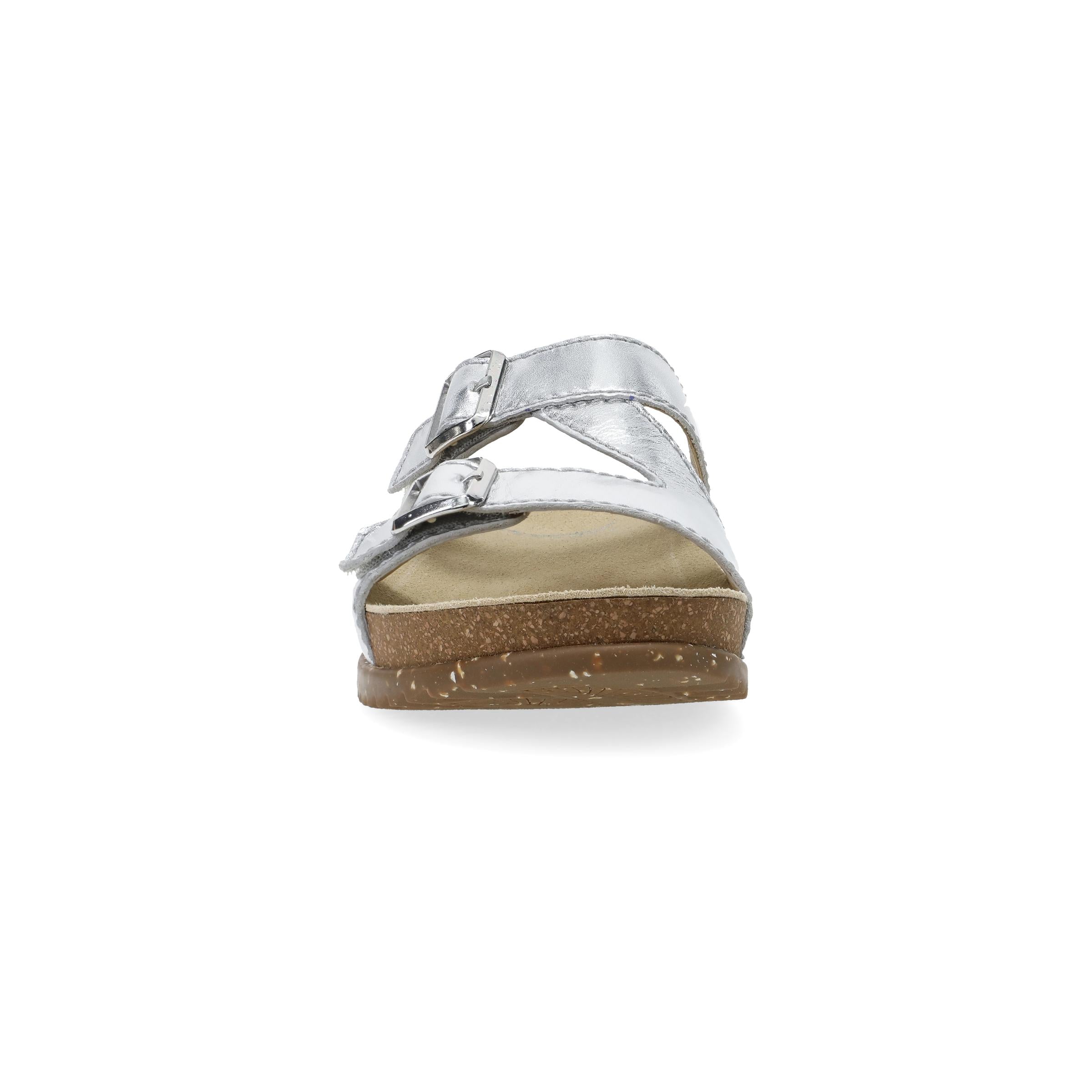  Dayna Silver Metallic